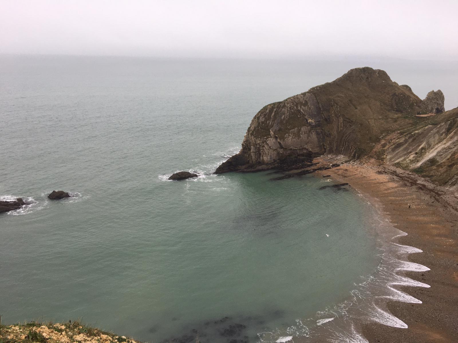 Natural Queen's crown (Sea Shore)